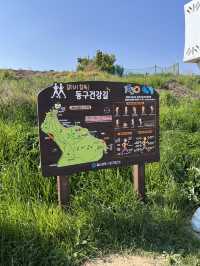 울산 유채꽃스팟은 여기