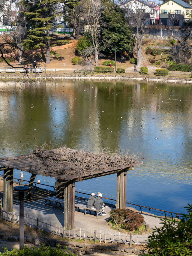 千葉公園で緑を楽しむ🌳