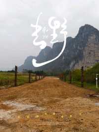 崇左寧明花山岩畫風景區