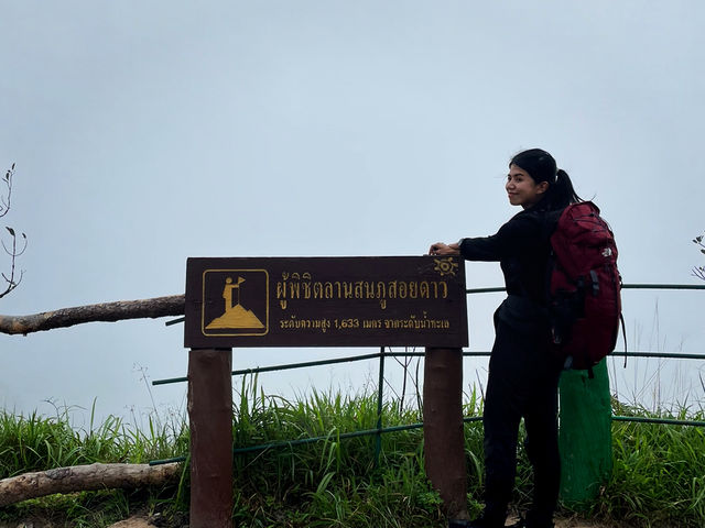 ภูสอยดาว สวรรค์ของนักเดินป่า! 🏕️🌸⛰️🏞️✨ 
