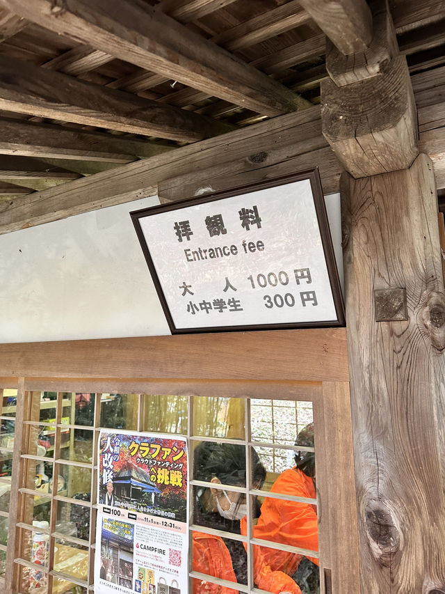 【滋賀県】近江八幡で紅葉がオススメな場所