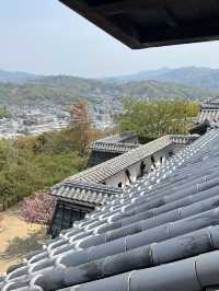 日本四國