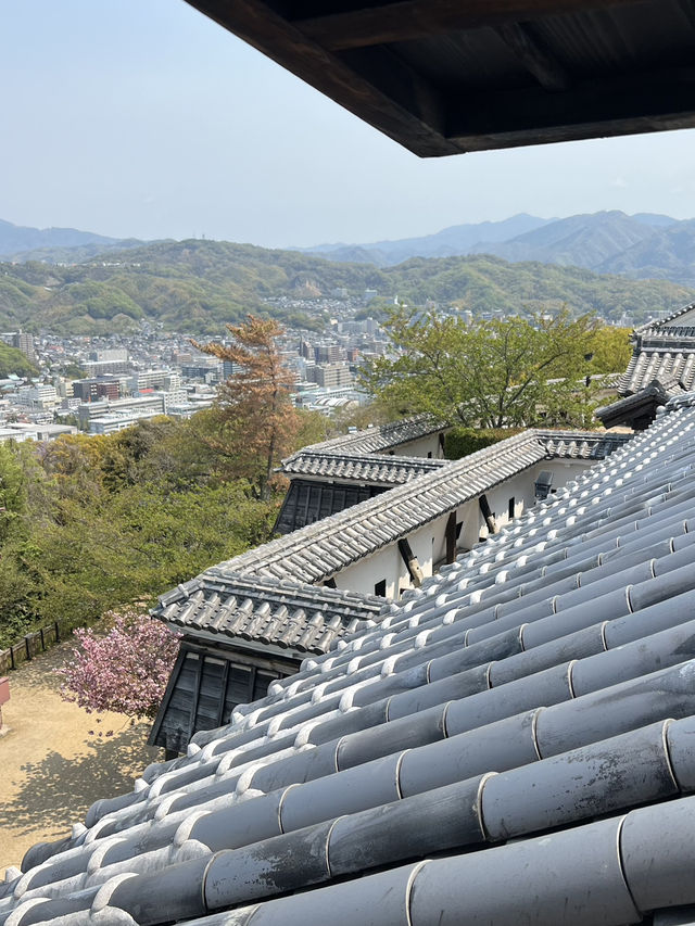 日本四國