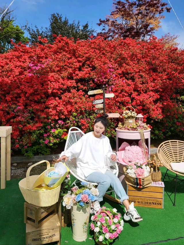 4월에 가장 아름다운 강진 꽃놀이명소🩷