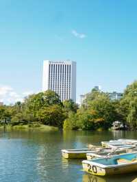 【北海道】公園での楽しみ方！