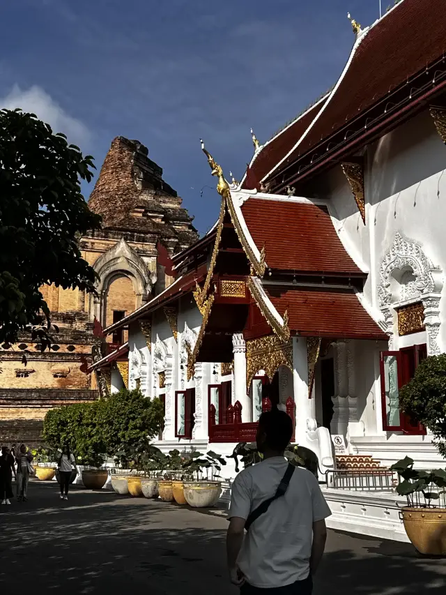 Chaing mai ancient golden city 