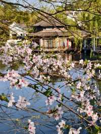 Maojiabu Cherry Blossoms – A Hidden Lakeside Escape
