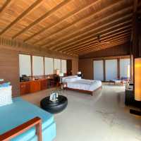 Park Hyatt Maldives Hadahaa: Luxury in Secluded Paradise