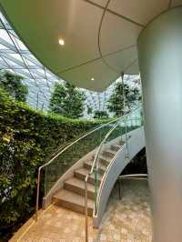 A Fun Challenge: Hedge Maze at Jewel Changi Airport 