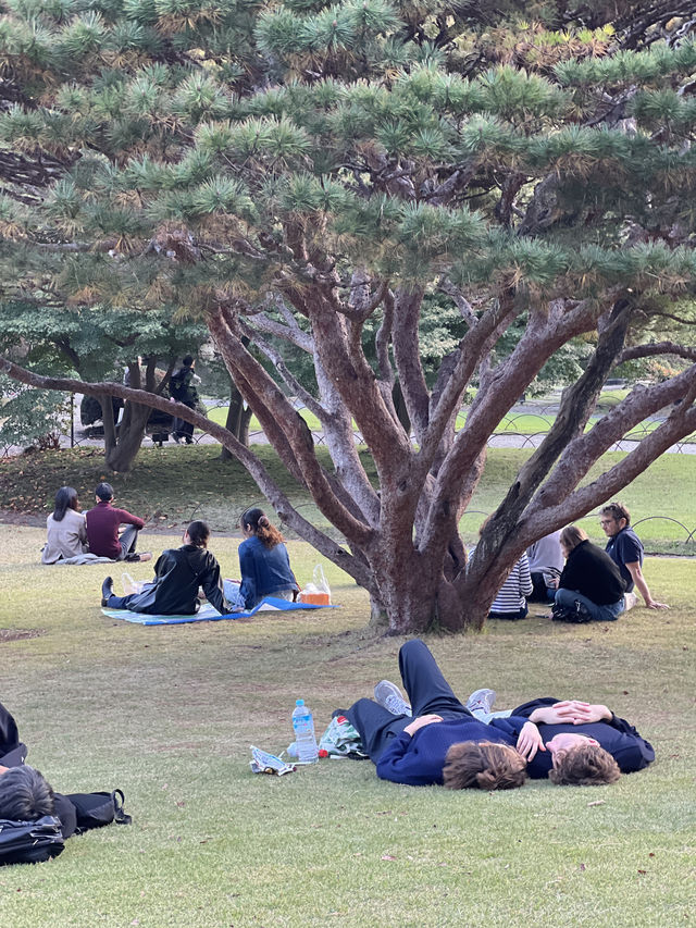 🍃 신주쿠교엔 – 도쿄 도심 한복판에 이런 힐링 공간이?!