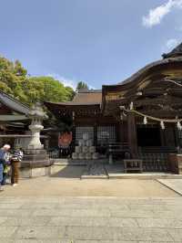 武田神社で見つけた、ちいさな幸運