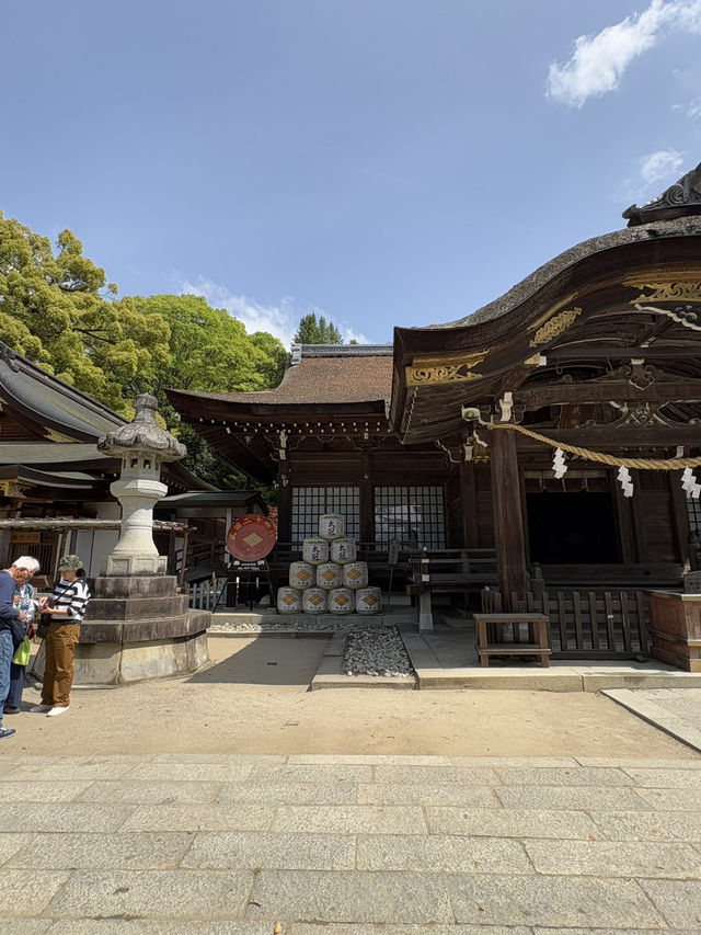 武田神社で見つけた、ちいさな幸運