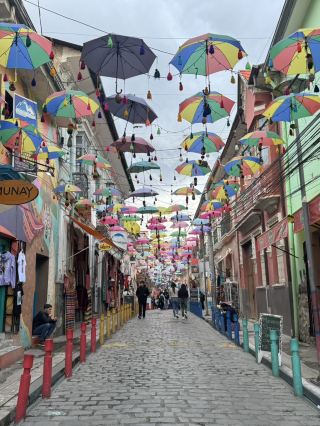 玻利維亞Witches Market 女巫市場