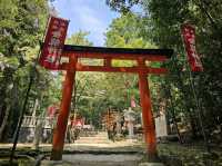 奈良~親親大自然，探訪可愛小鹿和歷史文化遺產的地方。