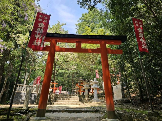 奈良~親親大自然，探訪可愛小鹿和歷史文化遺產的地方。
