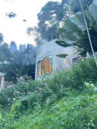 รีวิว La Lanna