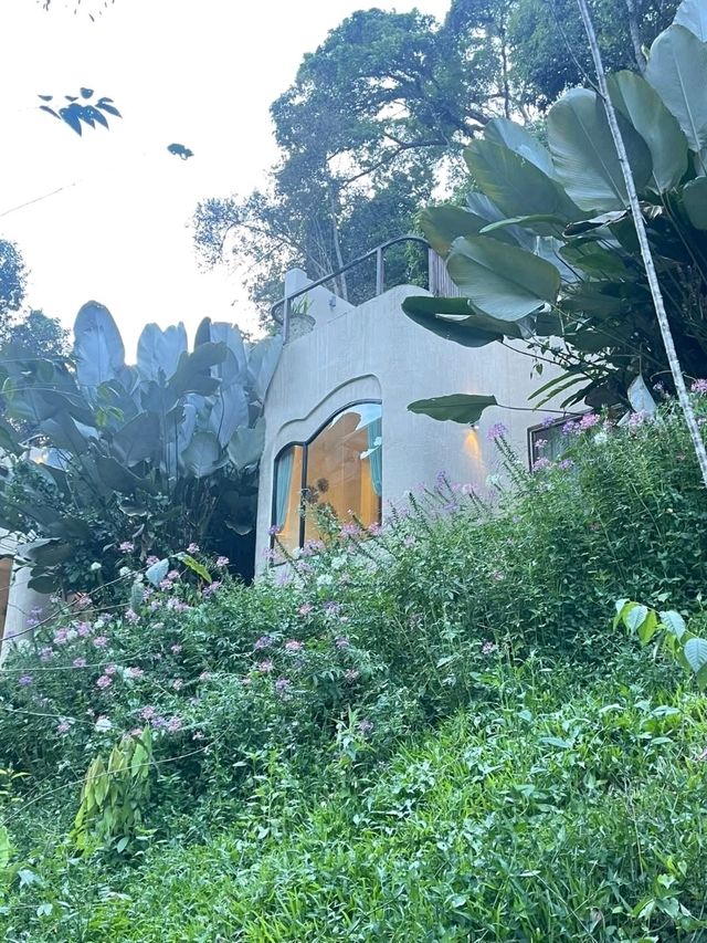 รีวิว La Lanna