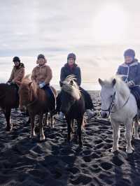 ✨Day 5: From Black Sand Beaches to Reykjavik Streets: A Day of Icelandic Wonders!