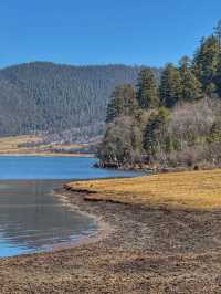 A Peaceful Escape into Nature: Discovering the Beauty of Potatso National Park (普达措国家公园)