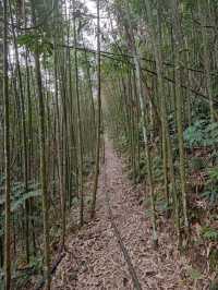 #英桃の天闊營地-新竹縣五峰鄉