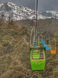 Breathing the Sky: A Calm Escape to Yak Meadow (牦牛坪) on Jade Dragon Snow Mountain