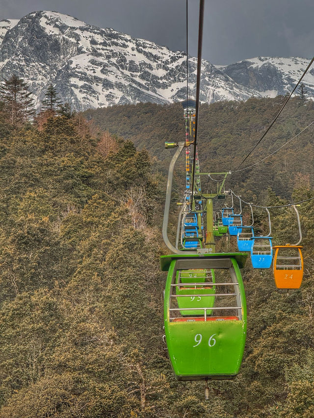 Breathing the Sky: A Calm Escape to Yak Meadow (牦牛坪) on Jade Dragon Snow Mountain