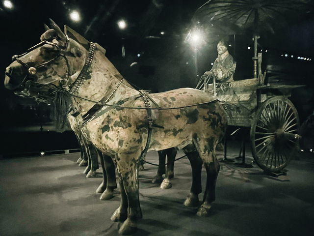 Terra-Cotta Warriors 西安兵馬俑🗿
