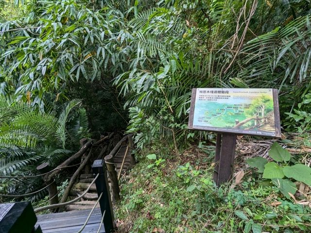 【台中】大坑風景区でハイキングをしてリフレッシュ