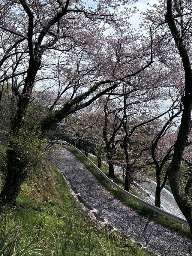 島波海道-尾道到今治的自行車道