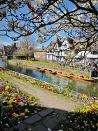 Canterbury 