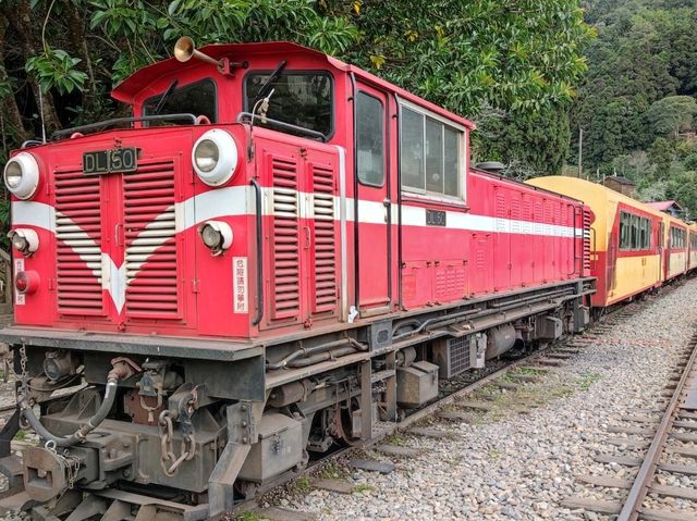 #奮起湖車站-嘉義縣竹崎鄉