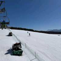 Sugadaira Highlands, Nagano