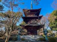 วัดโกโทคุจิ (Gotokuji Temple)