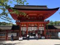 京都最喜歡的下鴨神社