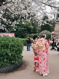 Ueno Park during sakura season