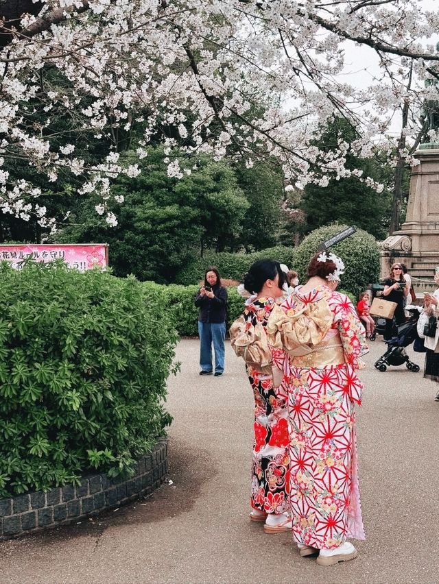 Ueno Park during sakura season