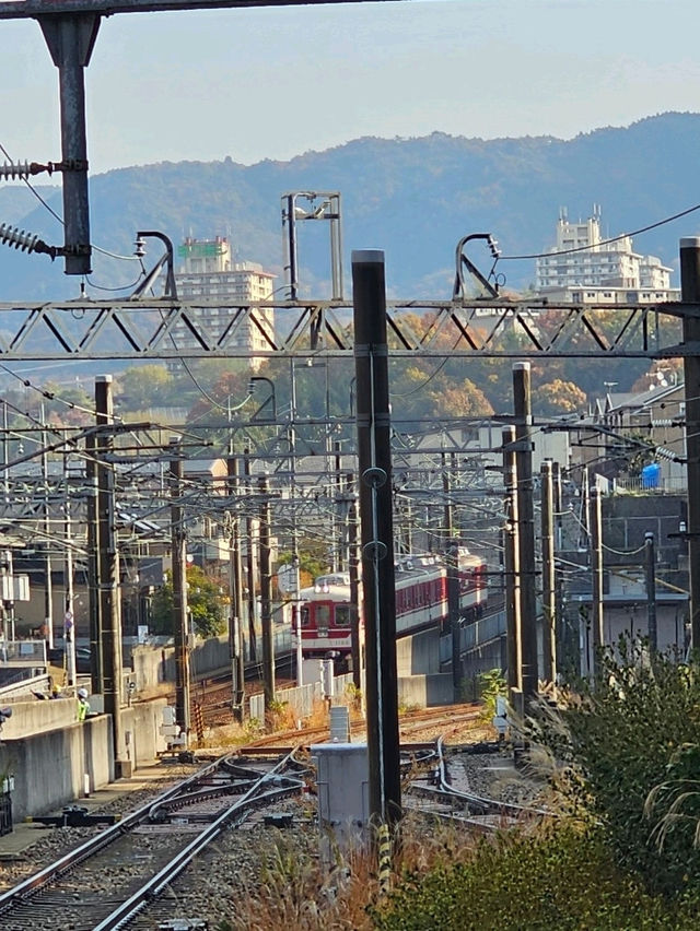 神戶市區＋有馬溫泉三天兩夜行程，放鬆的優雅慢旅