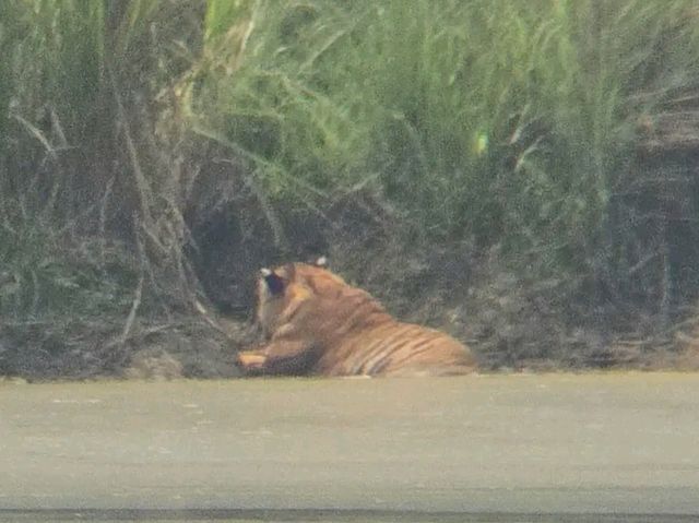 Chitwan National Park: Nepal’s Wild Treasure Chitwan National Park: Nepal’s Wild Treasure