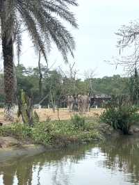 Hidden Gems Theme Park+SAFARI in Hoi An 