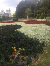 走！一起去威靈頓植物園當一日森林系旅人