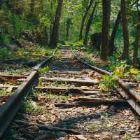 ทางรถไฟสายมรณะ 