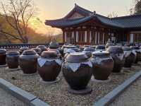 Cherry Blossom Templestay