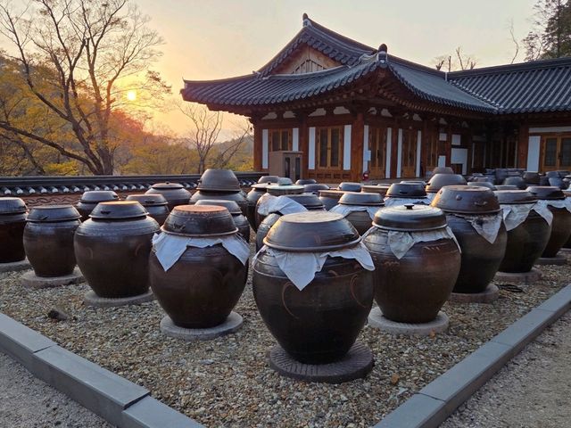 Cherry Blossom Templestay