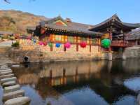 Cherry Blossom Templestay