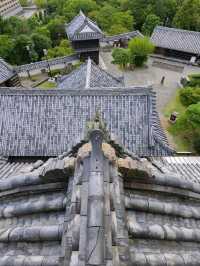 Kochi Castle Is a Hidden Treasure