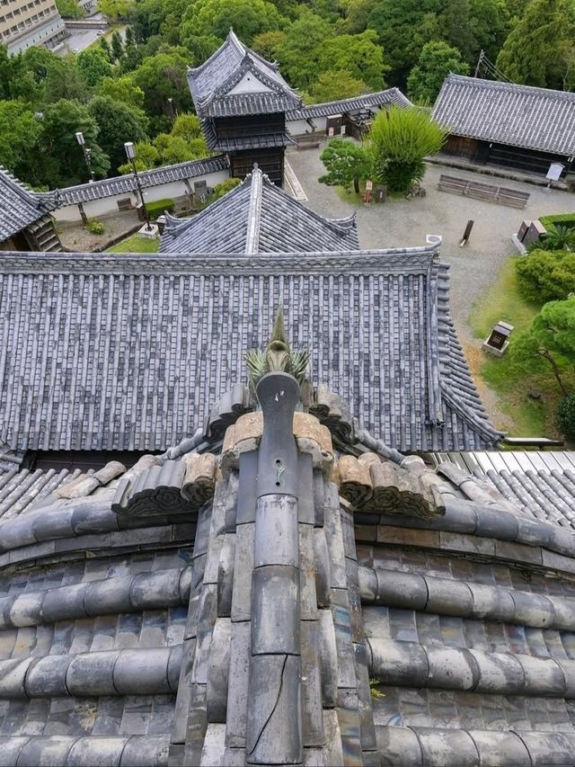 Kochi Castle Is a Hidden Treasure