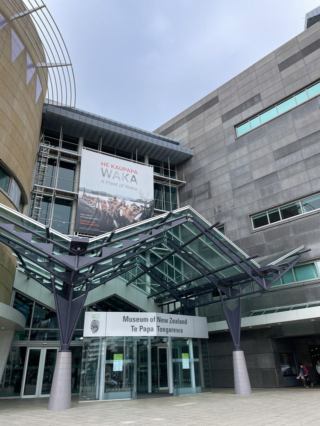 週日限定！市集x咖啡x博物館｜Wellington 一日慢行散策