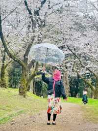 Tokyo Tales – Where Tradition Meets Tomorrow