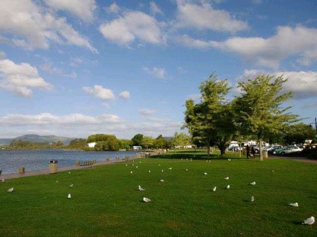 #羅託魯瓦湖Lake Rotorua-紐西蘭羅託魯瓦