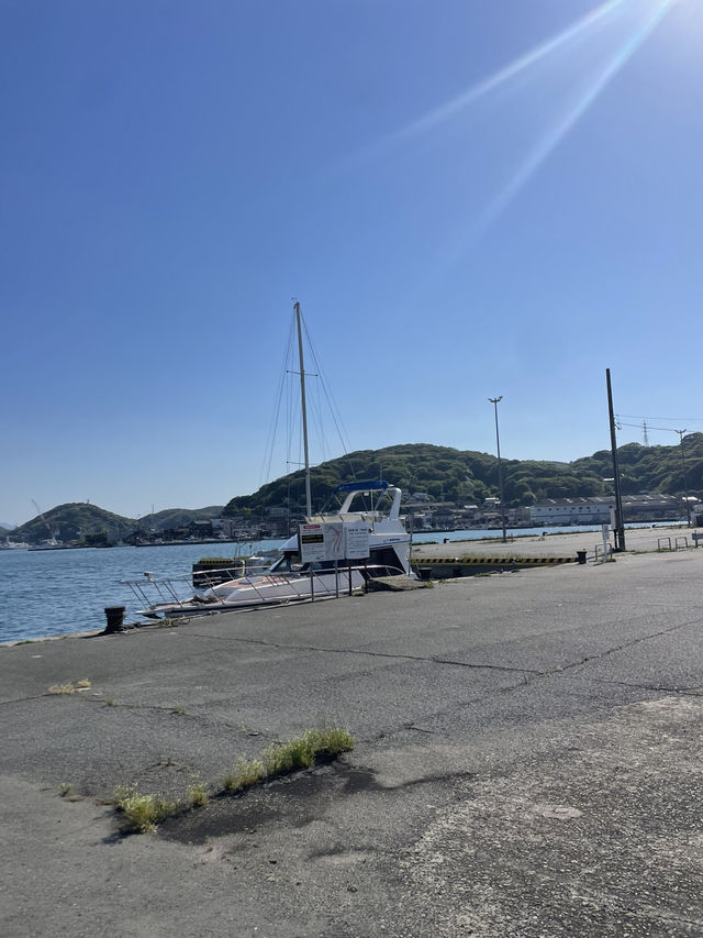 釜山街鯨魚料理 & 行程指南